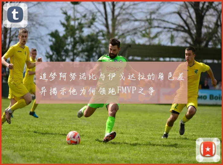 追梦阿努诺比与伊戈达拉的角色差异揭示他为何领跑FMVP之争